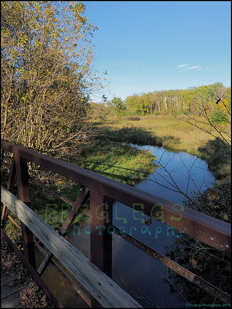 Spruce_Hill_05_web