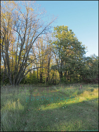 Spruce_Hill_37_web