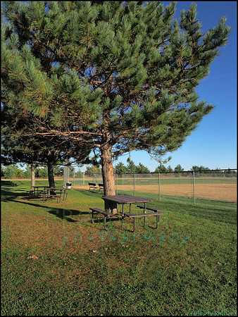 Spruce_Hill_35_web