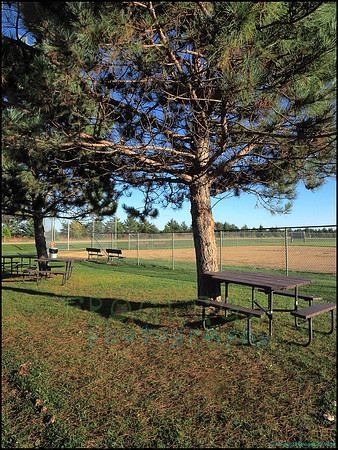 Spruce_Hill_36_web