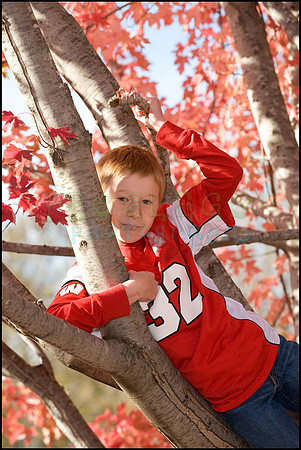 ABC_4167_web