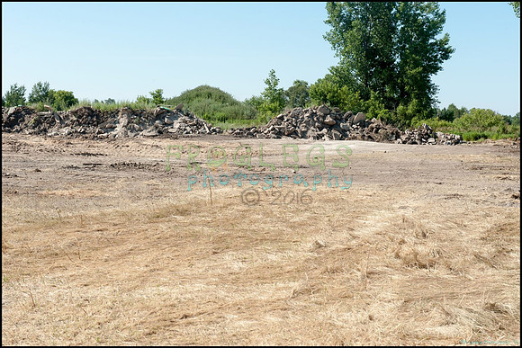 FRG_9362_web