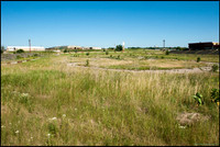 FRG_9353_web