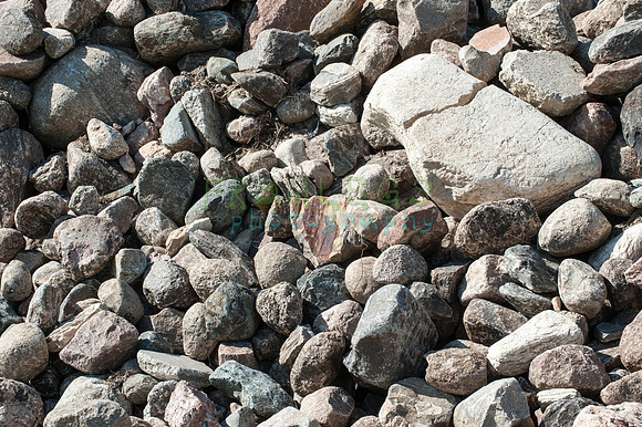 FRG_9762_web