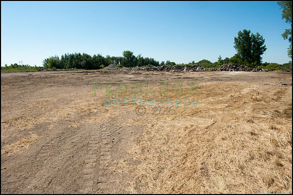 FRG_9358_web