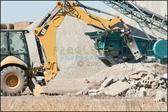 FRG_9391_web