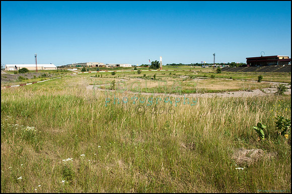 FRG_9354_web