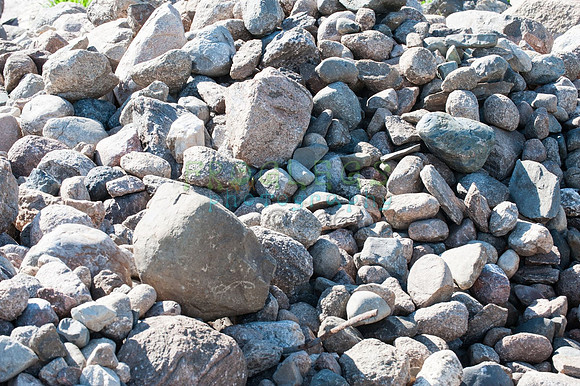 FRG_9743_web