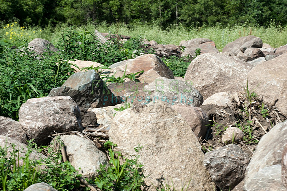 FRG_9747_web