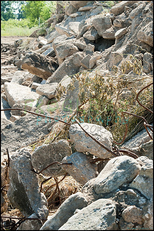 FRG_9385_web
