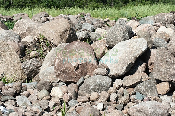FRG_9748_web