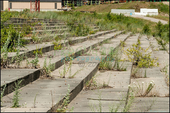 FRG_9419_web
