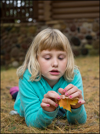 frogPA150643_web