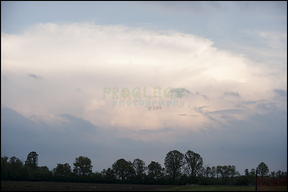 FRG_9788_web