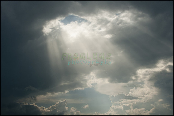FRG_9551_web