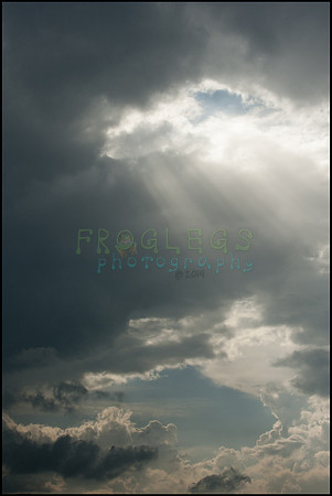 FRG_9552_web
