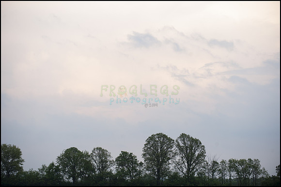 FRG_9787_web