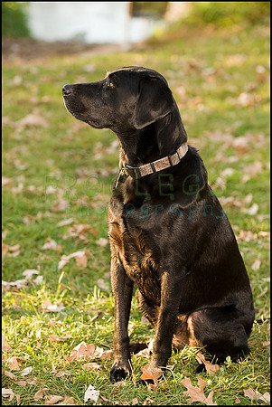 ABC_4526_web