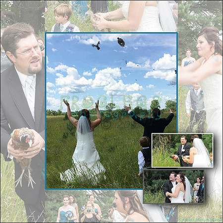 knutson_15_copy_web