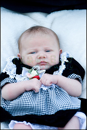 ABC_0694_web