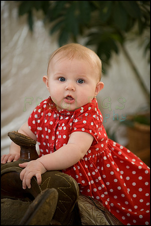 ABC_5442_web