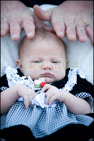 ABC_0704_web