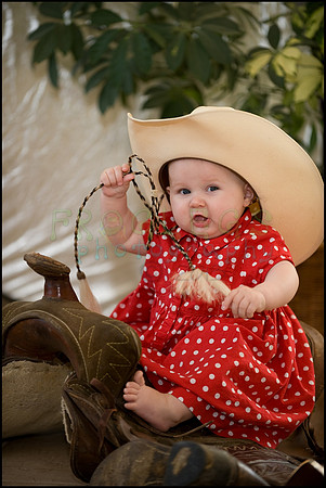 ABC_5461_web