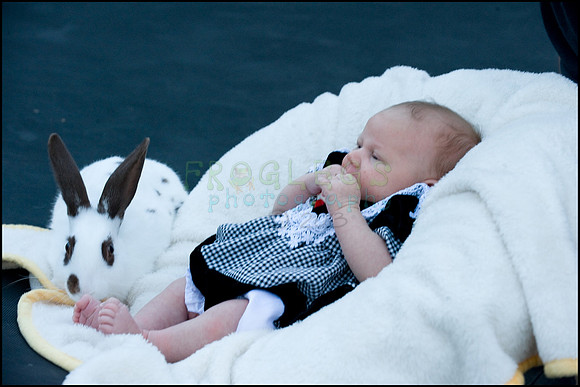 ABC_0670_web