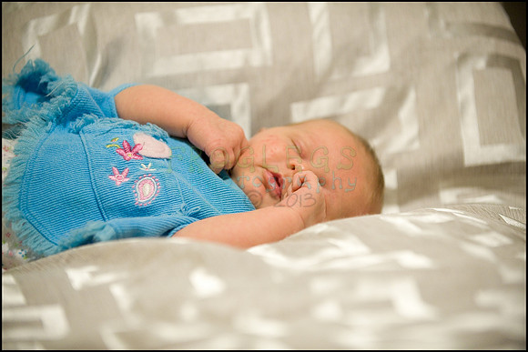 ABC_0772_web
