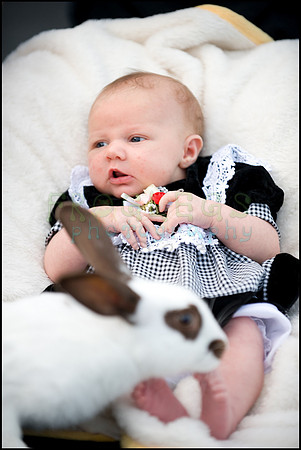 ABC_0635_web