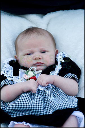 ABC_0695_web
