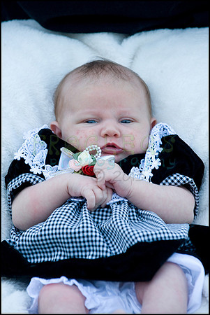 ABC_0698_web