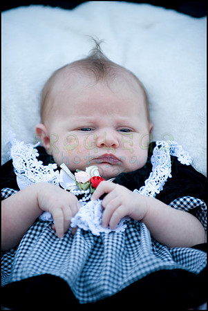 ABC_0705_web