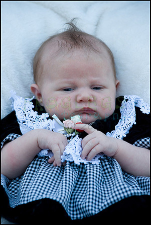 ABC_0702_web