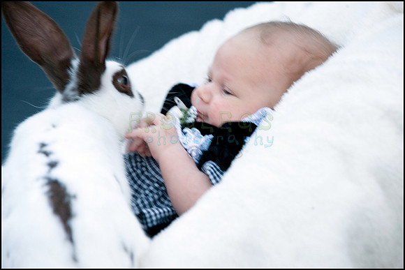 ABC_0667_web