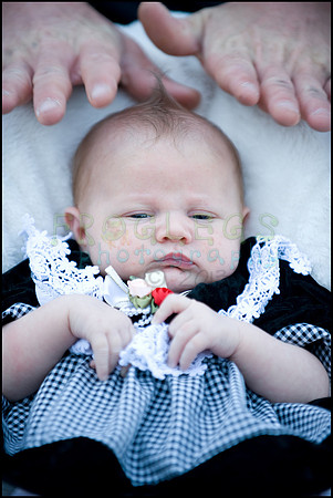 ABC_0703_web