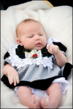 ABC_0633_web