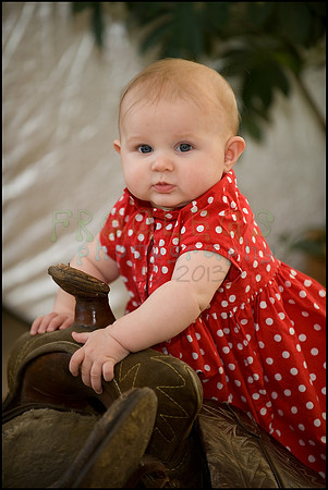 ABC_5443_web