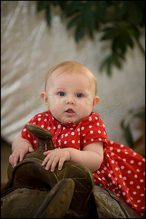 ABC_5445_web