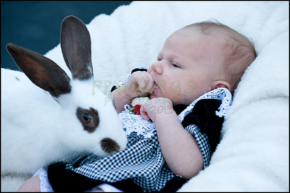 ABC_0681_web