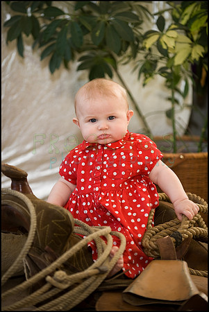 ABC_5485_web