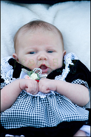 ABC_0697_web