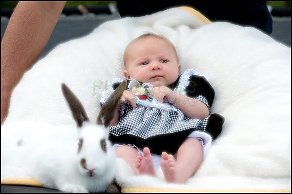 ABC_0640_web