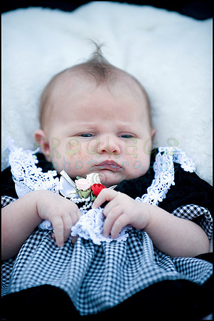 ABC_0706_web