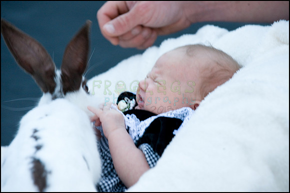 ABC_0669_web