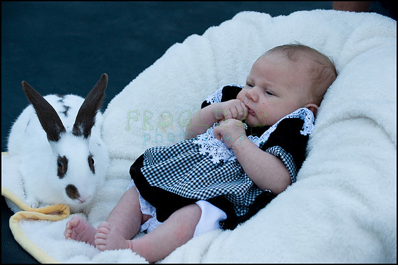 ABC_0675_web