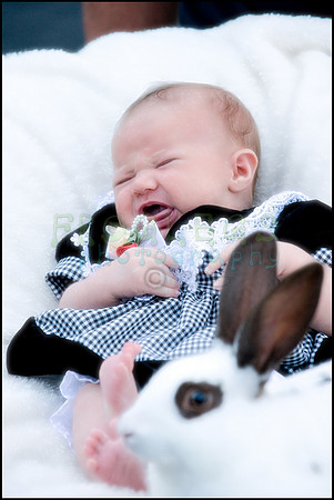 ABC_0664_web