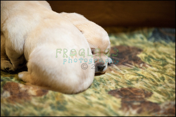 frg_8557_web