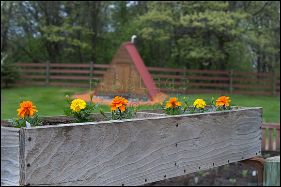 frg_8532_web