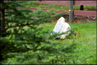 frg_8524_web
